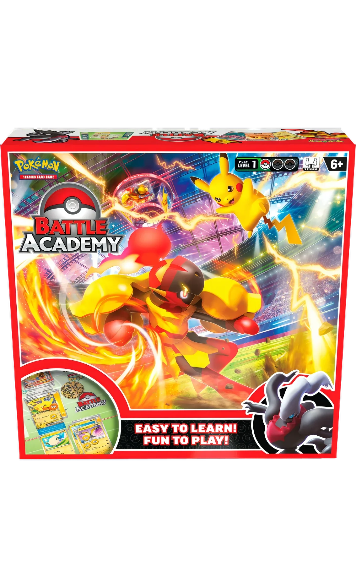 Accademia Lotta 2024 (ENG)