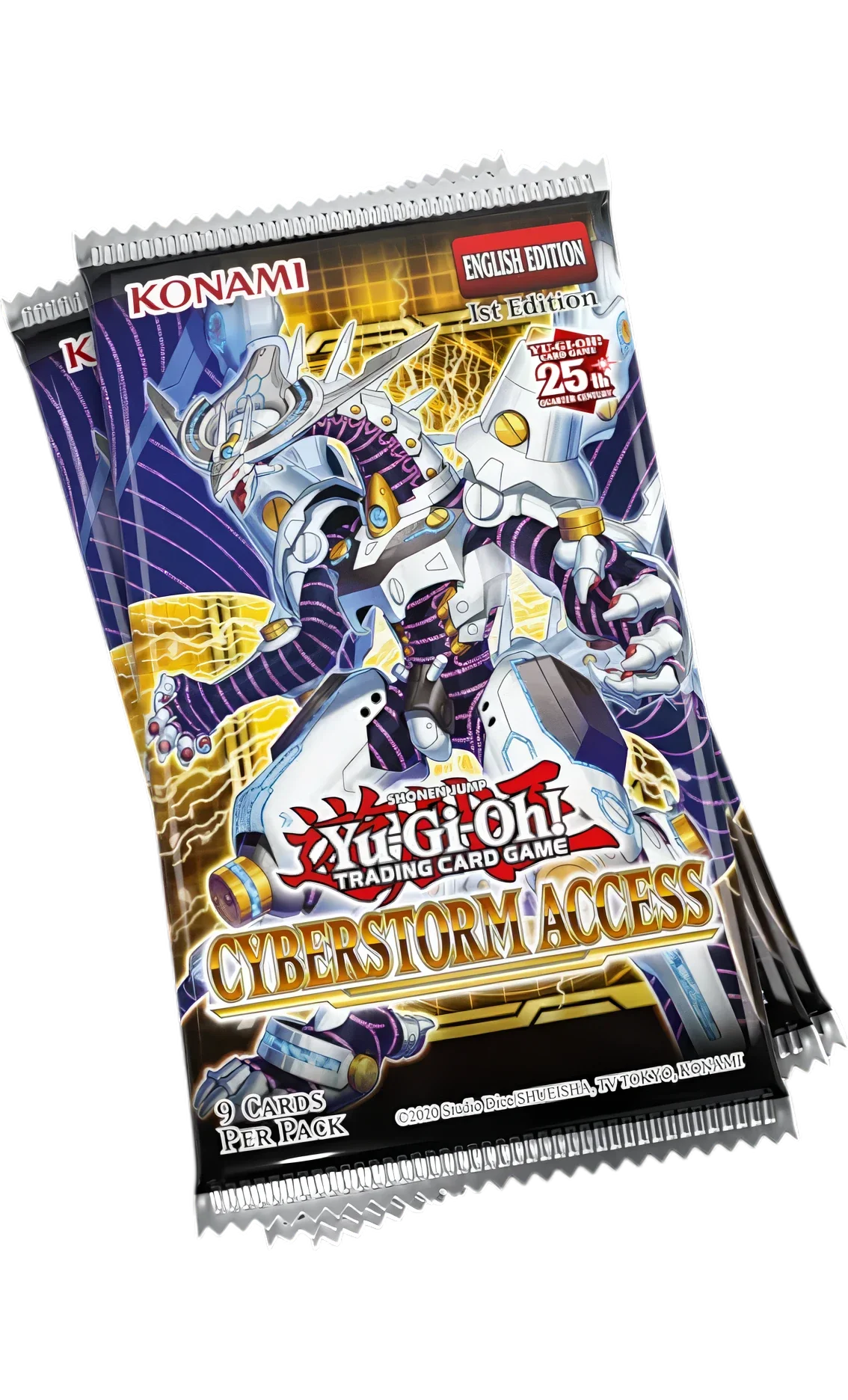 Accesso Cybertempesta: Busta Singola (ENG)